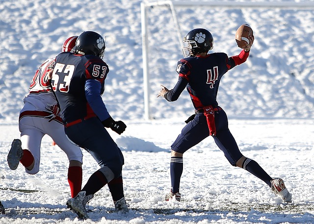 在比赛中 在比赛中